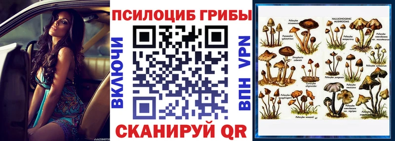 Псилоцибиновые грибы прущие грибы  Купить закладки  Кирс 